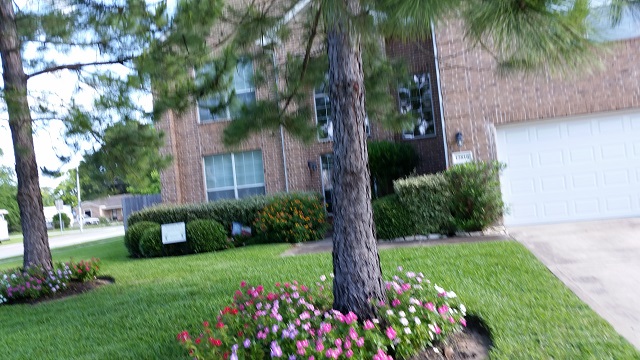 Yard Of the Month May 2016 (3)